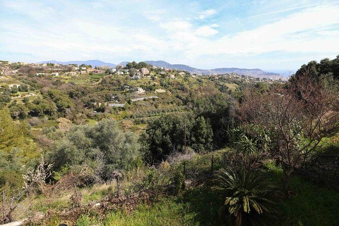 3-Course Organic Dinner in Garden with Views of French Riviera - Sunset views over Nice: the part that makes the evening feel worth it