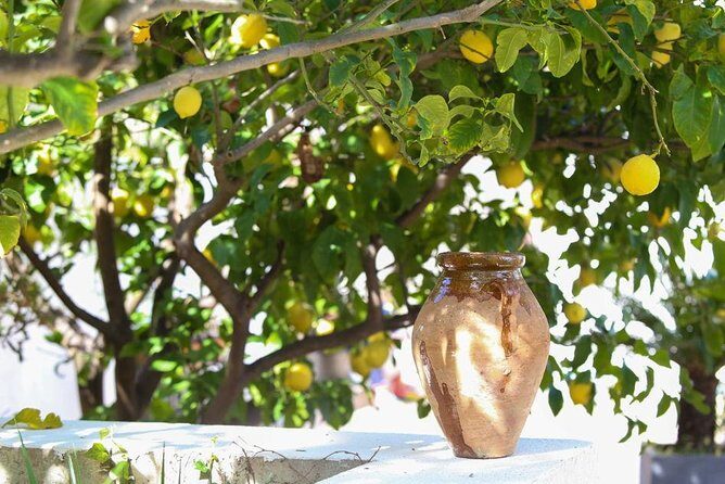 3-Course Organic Dinner in Garden with Views of French Riviera - Who this experience suits best (and who might skip it)