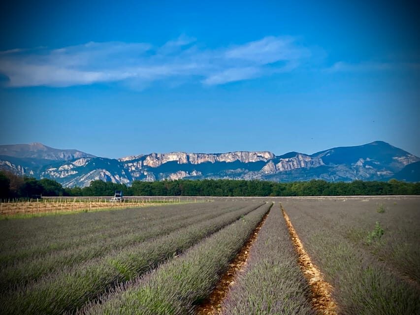 Bespoke Luxury Sightseeing Experiences - Stop-by-Stop: What You’ll Get From Each Big Area