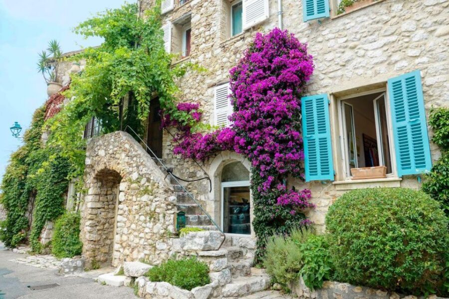 From Nice: Cannes, Antibes & St Paul de Vence Half-Day Tour - What the Best Guides Actually Do Here