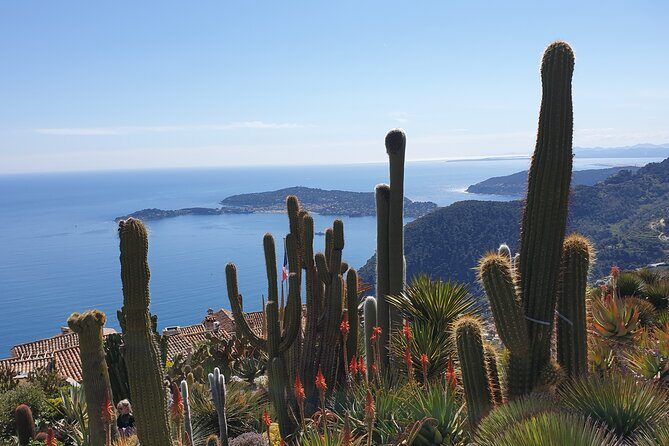 Full-Day Private Tour of Nice, Monaco and Eze Village with private guide - Riding in a Luxury Minibus (Without the Group-Tour Chaos)