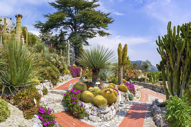 Monaco, Monte Carlo & Eze Private Tour - Monte-Carlo Casino Square: Where Glamour Lives Up Close