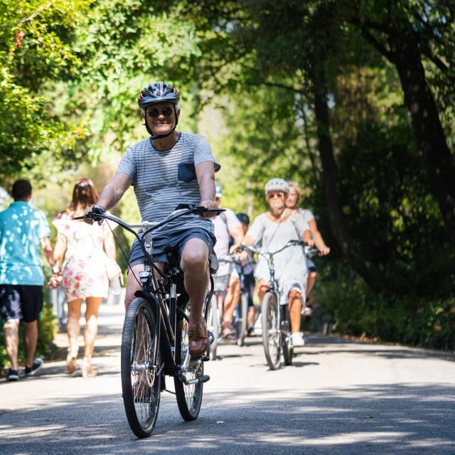 Nice: E-Bike City Highlights Tour - Nice Harbour: Yachts, Fishing Vessels, and the Sea-Air Contrast
