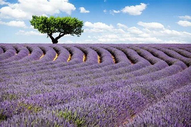 Nice: Gorges of Verdon and Fields of Lavender Tour - Castellane and the Gorge of the Wolf: Waterfall Drama Before the Big Views