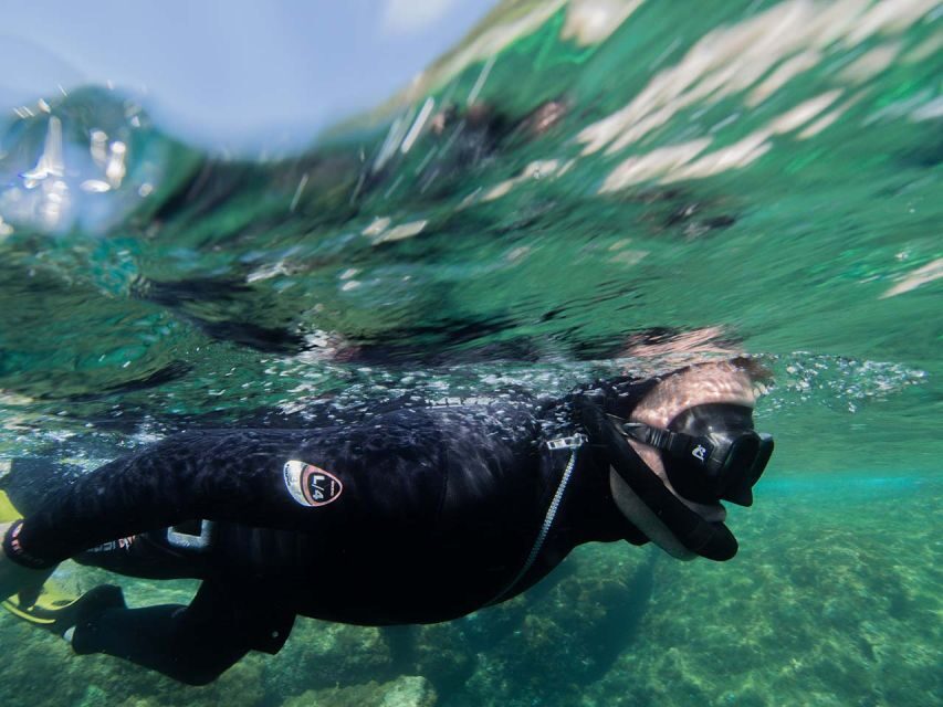Nice: Snorkeling Speedboat Tour in Villefranche Bay - Stop 3 in Villefranche-sur-Mer: your 1-hour snorkeling window