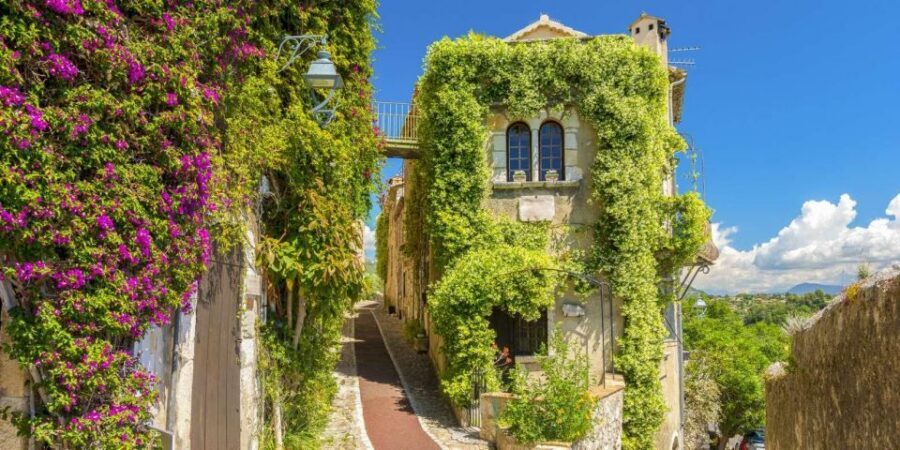 Provence Countryside & Medieval Villages Day Trip - Provence Countryside in One 9-Hour Sweep