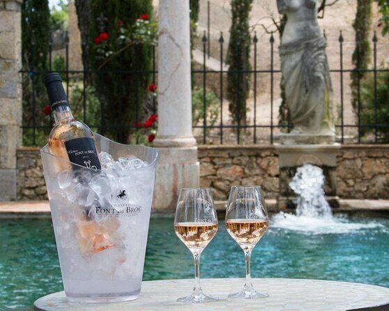 Provence Wine Tour - Private Day Tour from Cannes - From Cannes Pickup to Provence Tastings: What the Day Feels Like