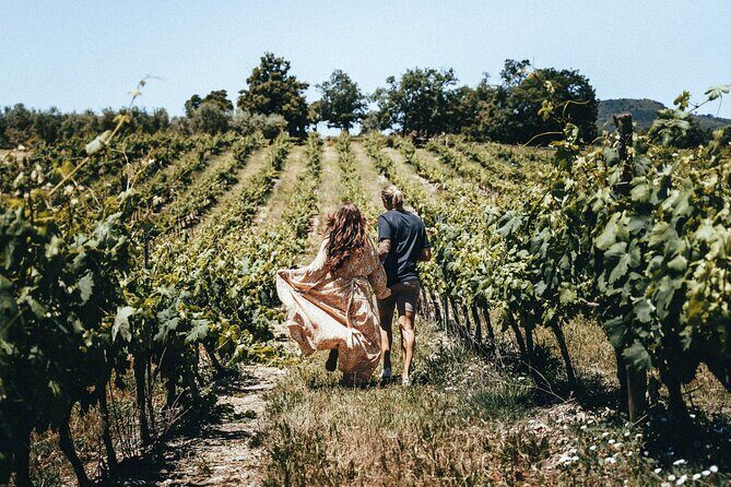 Provence Wine Tour - Small Group Tour from Nice - Buying wine and staying in control of your wallet