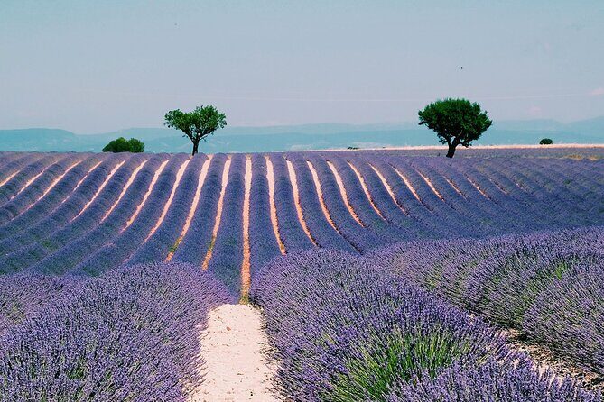 Verdon Gorge: The Grand canyon of Europe, Lake and Lavender - Gorges du Verdon Viewpoints: The Main Event