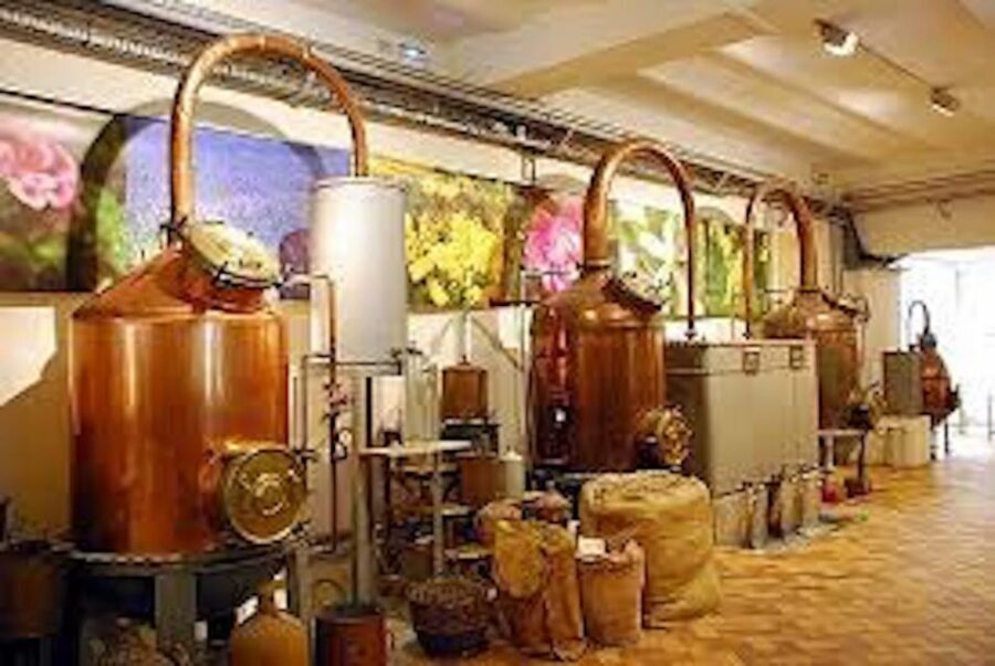 West Coast and Country Side full day Tour - Getting oriented in Nice: Promenade des Anglais energy